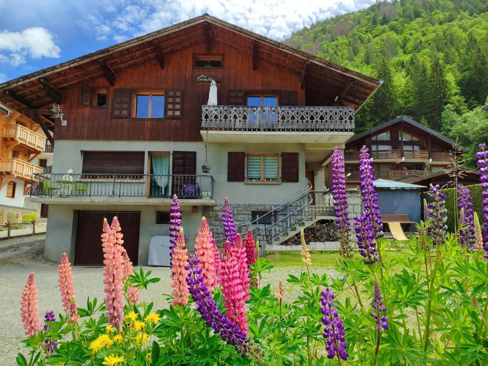 Appartement Meuble Classe 3 Etoiles De 72 M2, 2 Chambres Morzine Eksteriør bilde